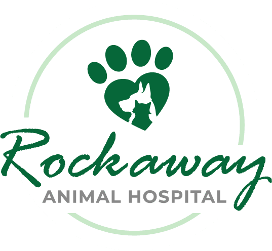 logo for rockaway animal hospital in color