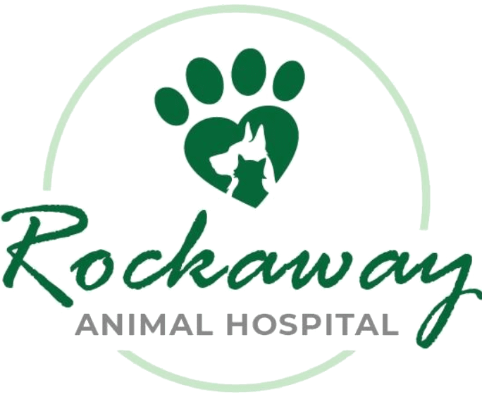 logo for rockaway animal hospital in color